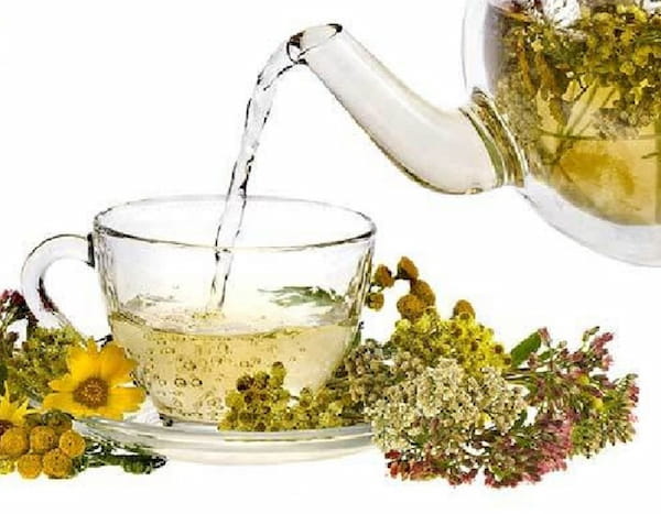 فروش عصاره گیاه بیدمشک + قیمت خرید به صرفه